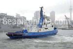 ID 6039 2010 AUCKLAND ANNIVERSARY DAY TUG RACE - DALDY (1977/226grt/IMO 7519127).